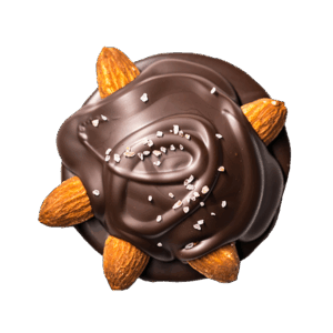 Almond Sea Salt Round <br> *Vegan*