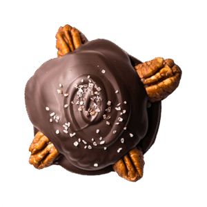 Pecan Sea Salt Round <br> *Vegan*
