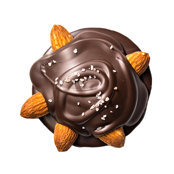 Almond Sea Salt Goldie <br> *Vegan*